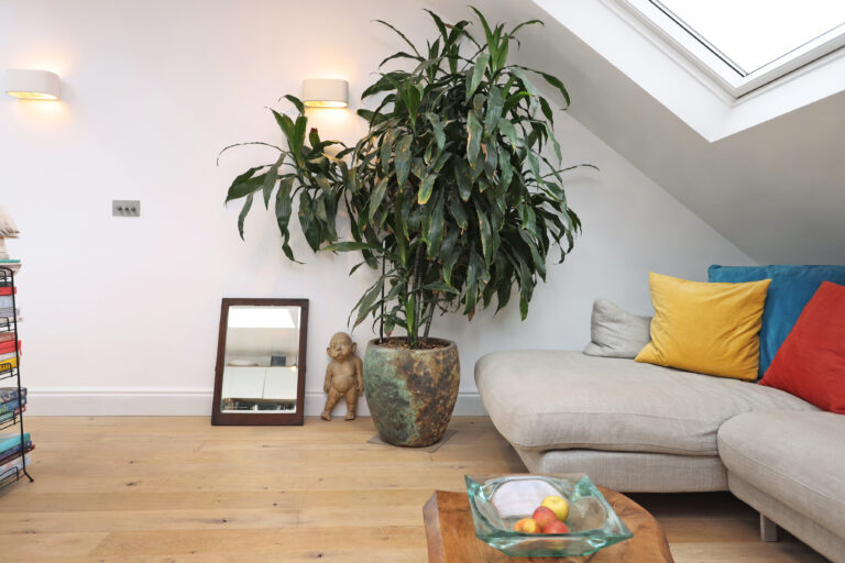 Loft living area with sofa and plants — Kensal Green NW10