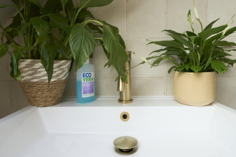 Sink with plants and hand soap — Chiswick W4